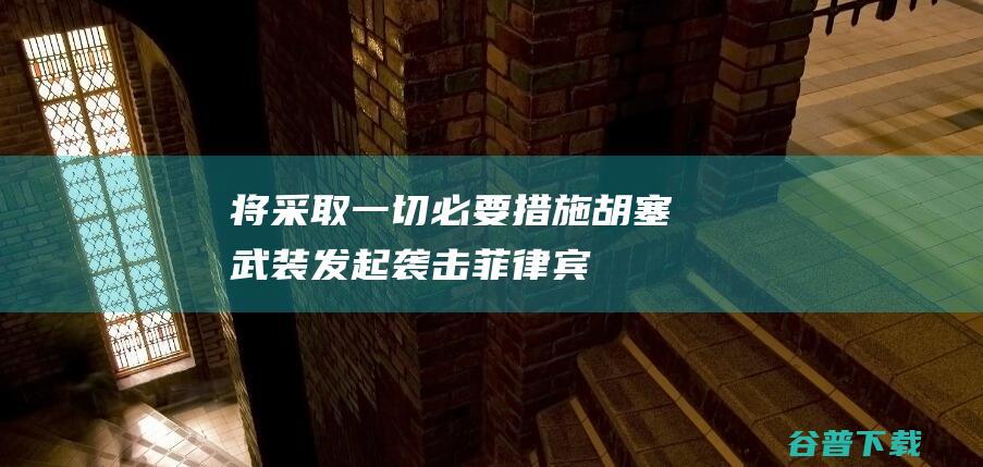 将采取一切必要措施胡塞武装发起袭击菲律宾