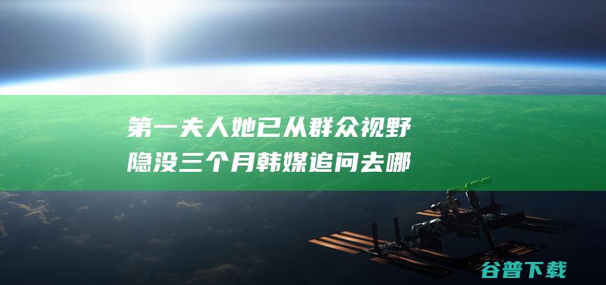 第一夫人 她已从群众视野隐没三个月 韩媒追问 去哪儿了 (第一夫人免费阅读)