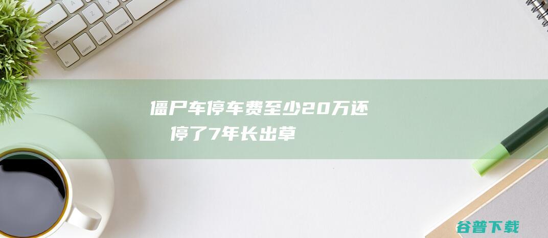 僵尸车停车费至少20万还有停了7年长出草