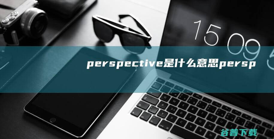 perspective是意思persp