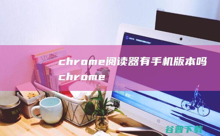 chrome器有版本吗chrome