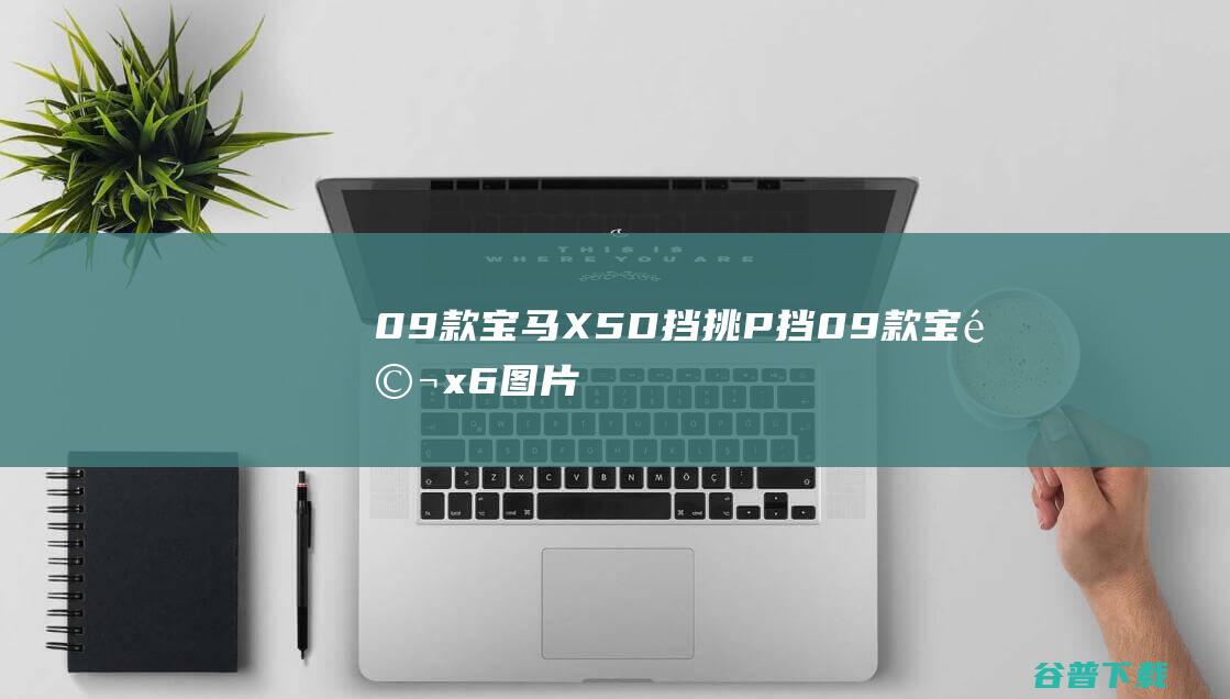 09款宝马X5D挡挑P挡09款宝马x6图片