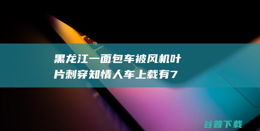 黑龙江一面包车被风机叶片刺穿知情人车上载有7