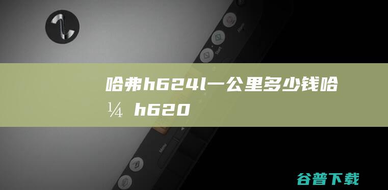 哈弗h624l一公里哈弗h620