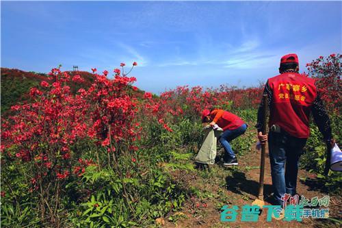 惠州市红帽子汽车贸易有限怎样样