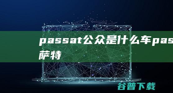 passat公众是什么车passat帕萨特