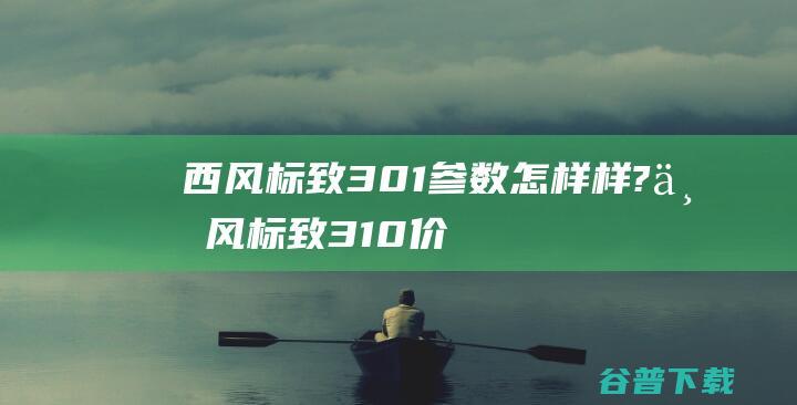 西风标致301参数怎样样?东风标致310价