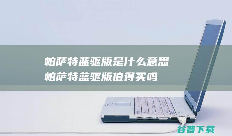 帕萨特蓝驱版是什么意思帕萨特蓝驱版值得买吗