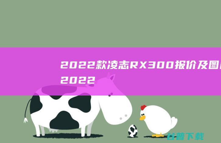 2022款凌志RX300报价及图片 (2022款凌度多少钱)