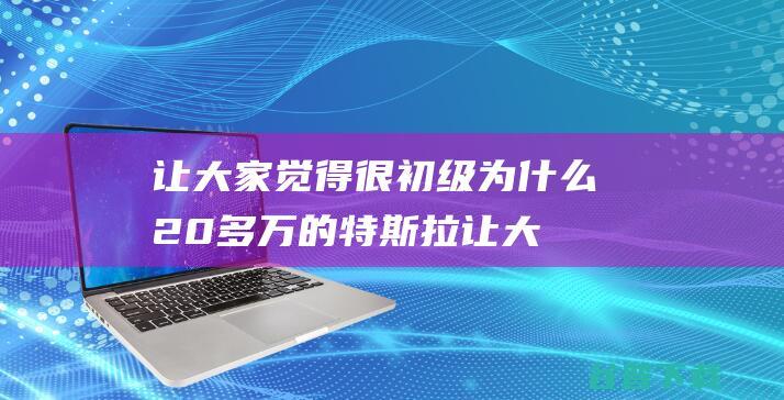 让大家觉得很初级 为什么20多万的特斯拉 (让大家觉得很好的成语)