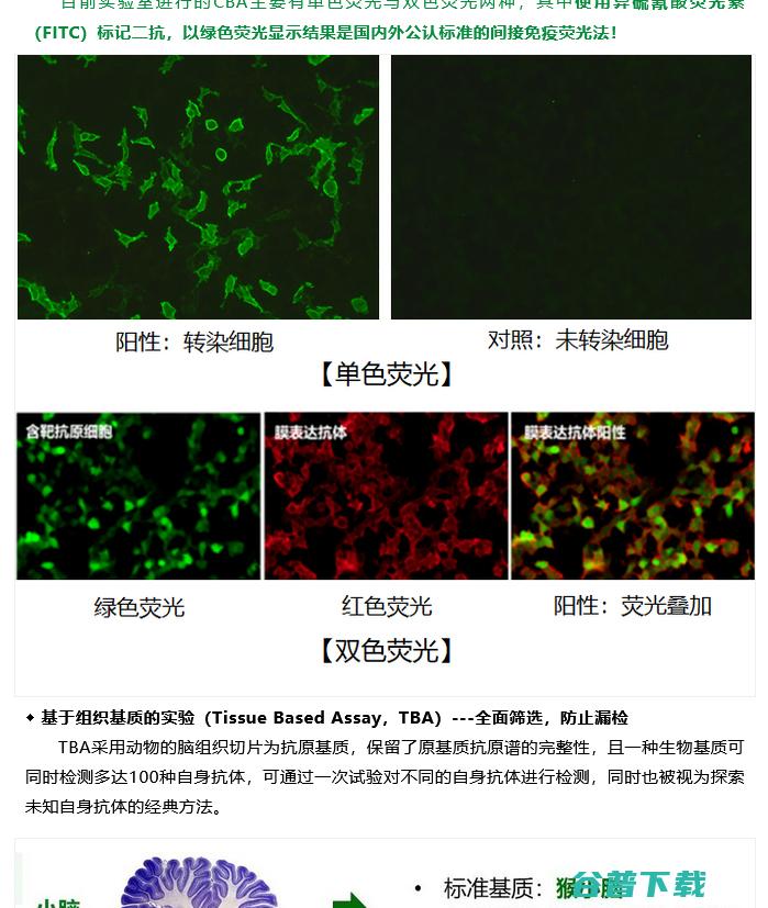 间接的说是什么意思