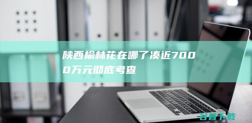 陕西榆林花在哪了凑近7000万元彻底考查