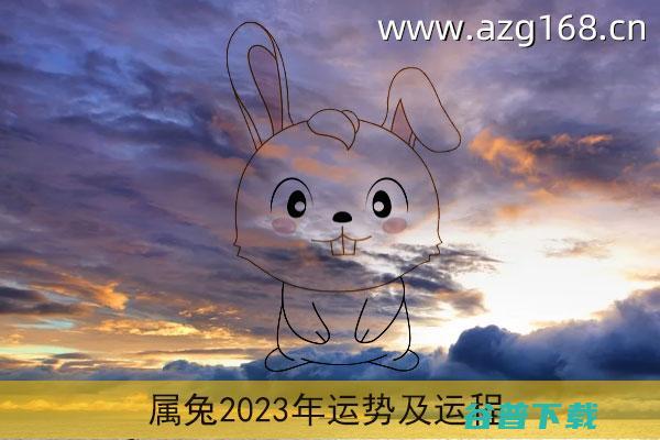 属兔2023年运程及运势详解2023兔年属兔人本命年每月运势 (属兔2023什么命)