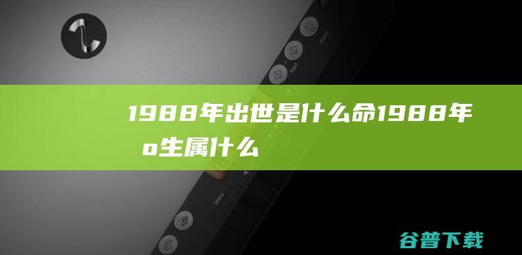 1988年出世是什么命 (1988年出生属什么)