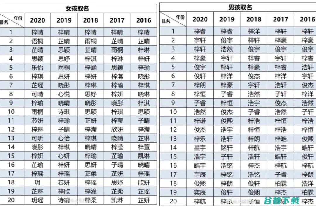 龙宝宝名字大全土气点的精选500个