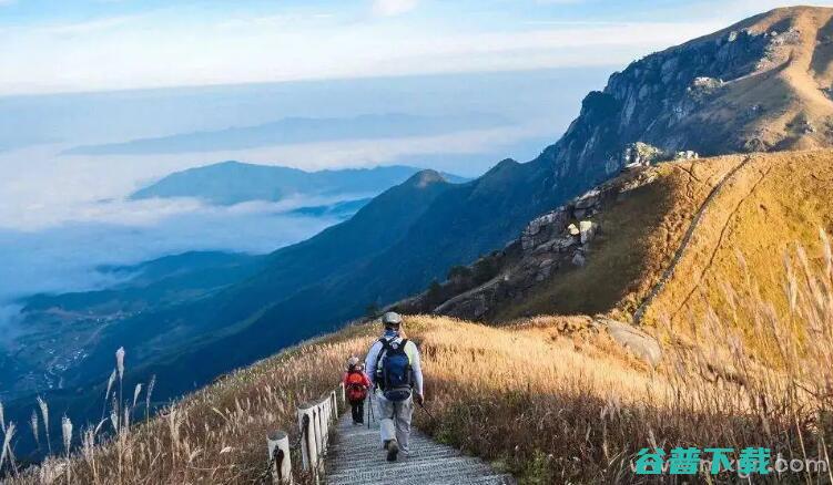 梦见爬山预兆什么 (梦见爬山预兆什么意思)