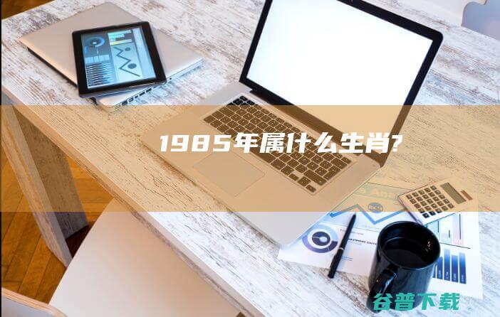 1985年属什么生肖?