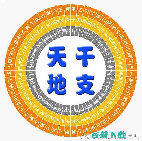 甲子年是什么意思 (甲子年是什么时候)