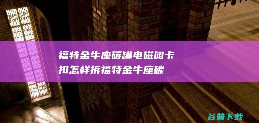 福特金牛座碳罐电磁阀卡扣怎样拆 (福特金牛座碳罐电磁阀)