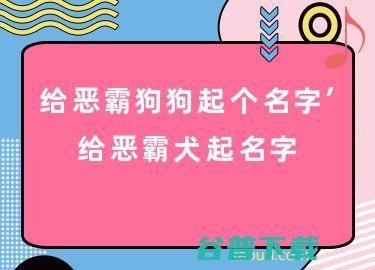 共性霸气宠物名字很高调 欢脱的宠物狗起名字大全喜庆有特点 (共性霸气宠物图片)