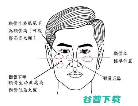 面相图解 (面相图解大全)