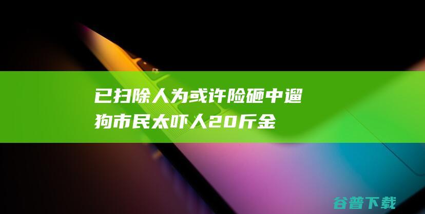 已扫除人为或许 险砸中遛狗市民 太吓人！20斤金属整机突如其来 (扫了扫了是啥意思)