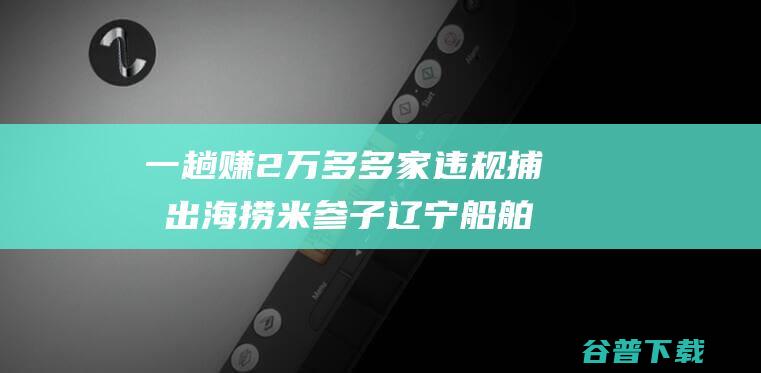 一趟赚2万多多家违规捕捞出海捞米参子辽宁船舶