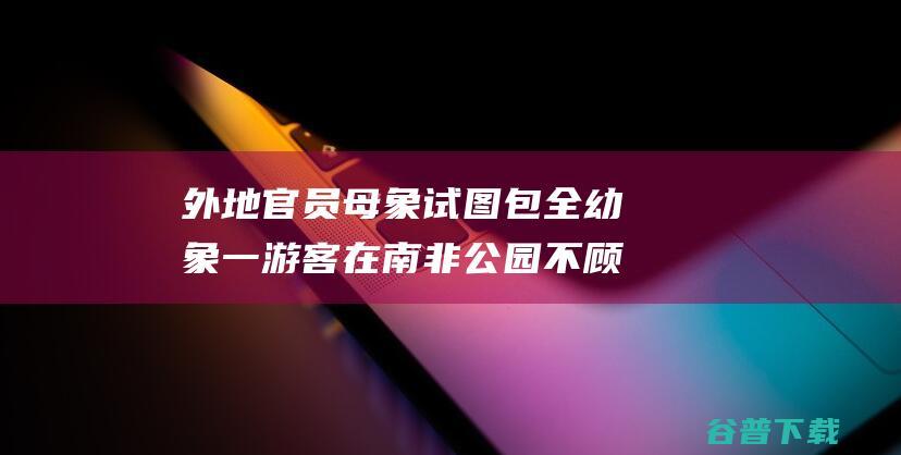 外地官员母象试图包全幼象一游客在南非公园不顾