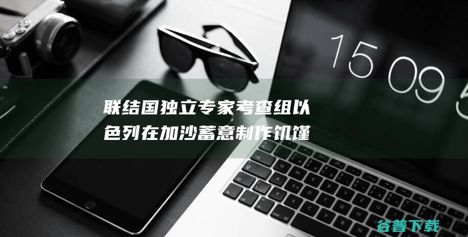 联结国独立专家考查组 以色列在加沙蓄意制作饥馑 是种族灭绝行为 (独立国家联合体)