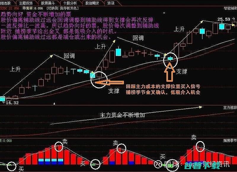 金龙鱼跌超8% 股价再创历史新低 (金龙鱼跌超10)