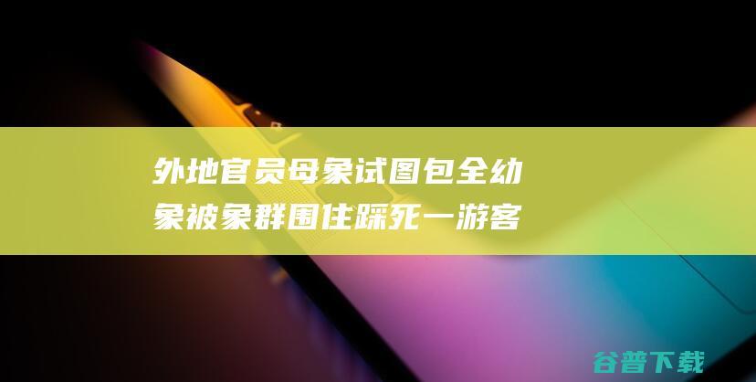 外地官员母象试图包全幼象被象群围住踩死一游客