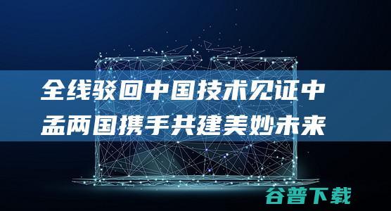 全线驳回中国技术 见证中孟两国携手共建美妙未来 幻想之路 (驳回国家局名称一览)