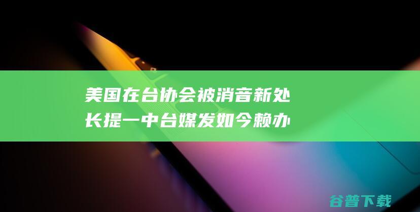 美国在台协会 被消音 新处长提 一中 台媒发如今赖办资讯稿中 (美国在台协会新馆落成)