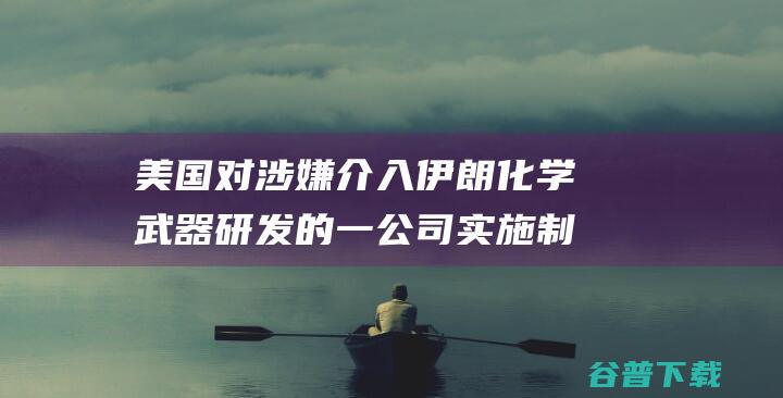 美国对涉嫌介入伊朗化学武器研发的一公司实施制裁 (美国对涉嫌介入的处理)