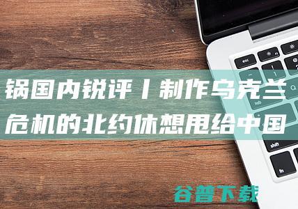 锅 国内锐评丨制作乌克兰危机的 北约休想甩给中国 (国内锅的品牌哪个品牌好)