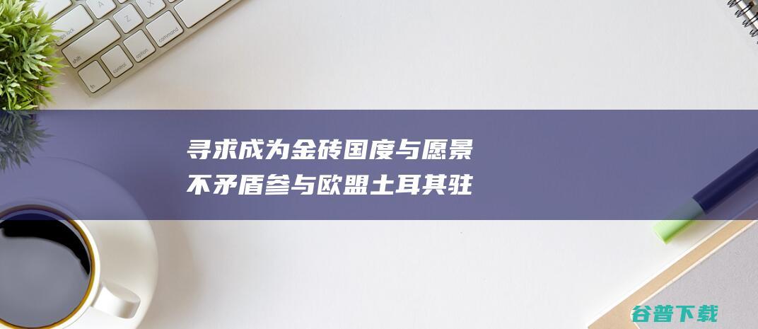 寻求成为金砖国度与 愿景不矛盾 参与欧盟 土耳其驻华大使 (寻求成为金砖的原因)