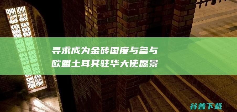 寻求成为金砖国度与 参与欧盟 土耳其驻华大使 愿景不矛盾 (寻求成为金砖的条件)