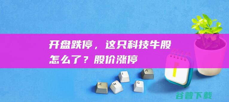 开盘跌停，这只科技了？股价涨停