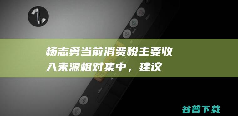 杨志勇：当前消费税主要收入来源相对集中，建议逐步推进税制改革|税负|税收|地方税