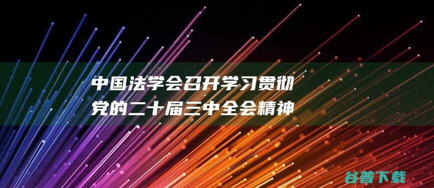 中国法学会召开学习贯彻党的二十届三中全会精神座谈会|法治