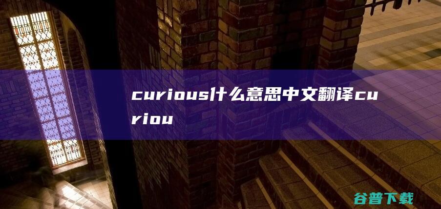 curious什么意思中文翻译 (curious)