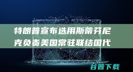 特朗普宣布选用斯蒂芬尼克负责美国常驻联结国代表 (特朗普宣布选举获胜)