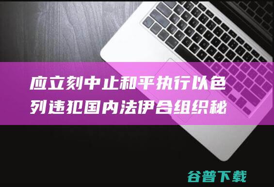 应立刻中止和平执行 以色列违犯国内法 伊合组织秘书长 (应当立即终止继续盘问)