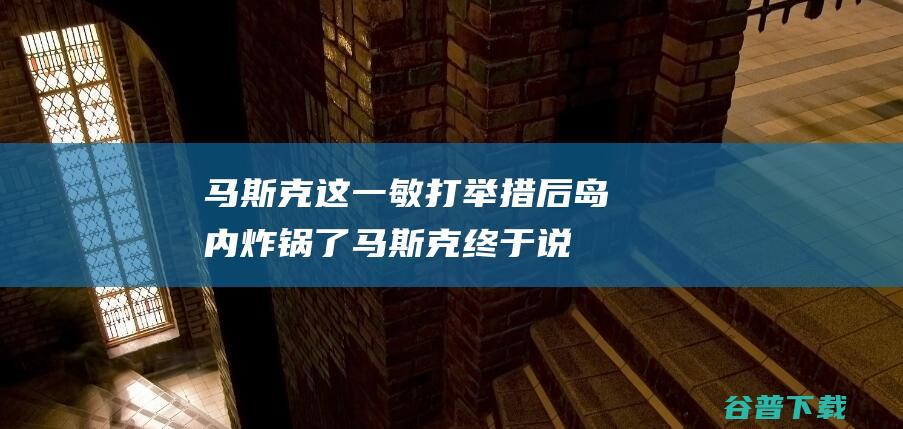 马斯克这一敏打举措后 岛内炸锅了 (马斯克终于说实话)