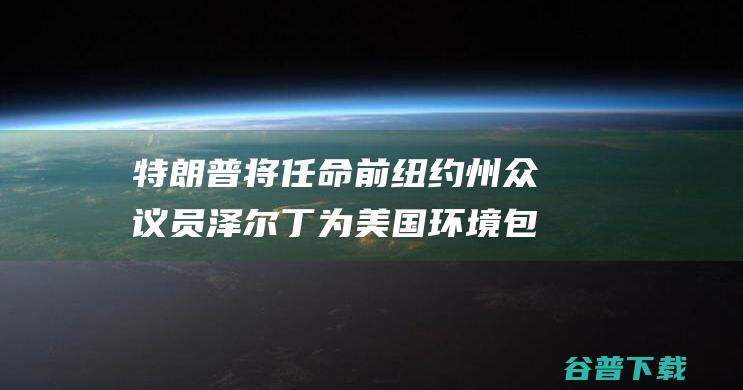 特朗普将任命前纽约州众议员泽尔丁为美国环境包全署署长 (特朗普任命几个最高法官)