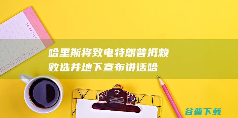 哈里斯将致电特朗普抵赖败选并地下宣布讲话 (哈里斯将致电特朗普承认败选美国大选)