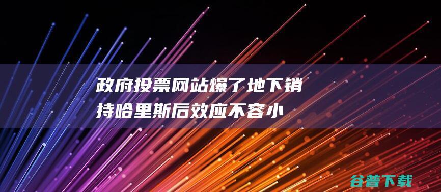 政府投票网站爆了！ 地下销持哈里斯后 效应不容小觑 霉霉 (政府投票网站刷票犯法吗)