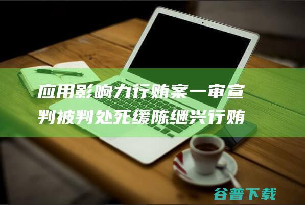 应用影响力行贿案一审宣判 被判处死缓 陈继兴行贿 (影响力的应用)