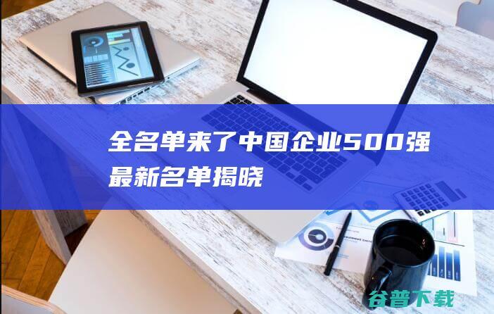 全名单来了！中国企业500强最新名单揭晓！ (深交所处罚全名单来了!)