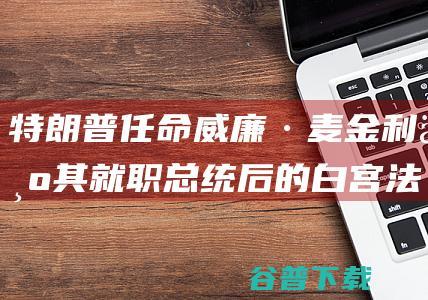 特朗普任命威廉·麦金利为其就职总统后的白宫法律顾问 (特朗普任命威尔斯为白宫办公厅主任)